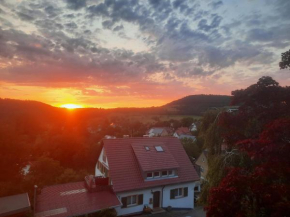 Fernblick
